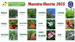 Taller de Huerta