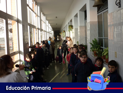 1p | Cora Web